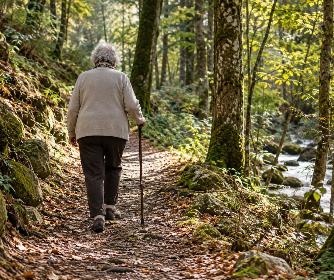 Balade en forêt avec une personne âgée